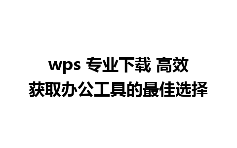 wps 专业下载 高效获取办公工具的最佳选择