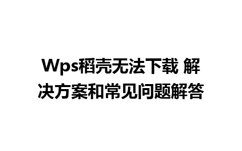 Wps稻壳无法下载 解决方案和常见问题解答