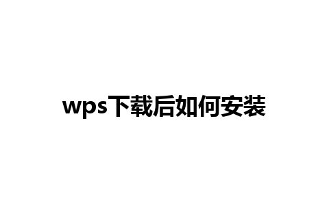 wps下载后如何安装