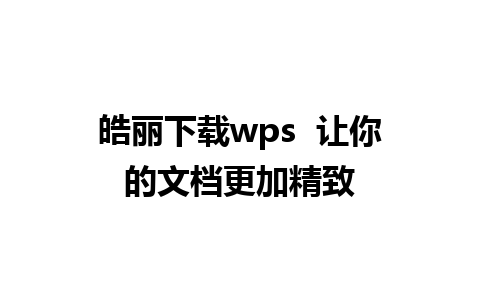 皓丽下载wps  让你的文档更加精致