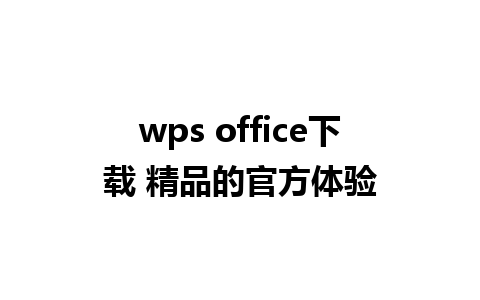 wps office下载 精品的官方体验