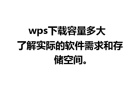 wps下载容量多大  了解实际的软件需求和存储空间。