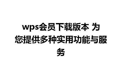 wps会员下载版本 为您提供多种实用功能与服务