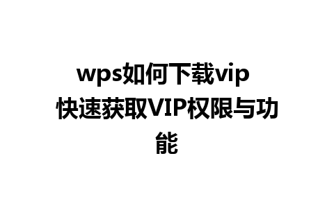 wps如何下载vip 快速获取VIP权限与功能