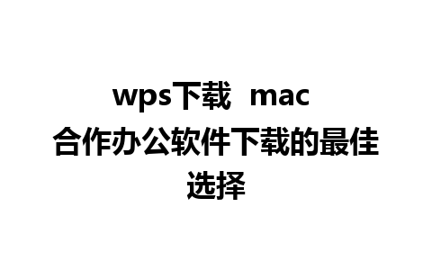 wps下载  mac 合作办公软件下载的最佳选择