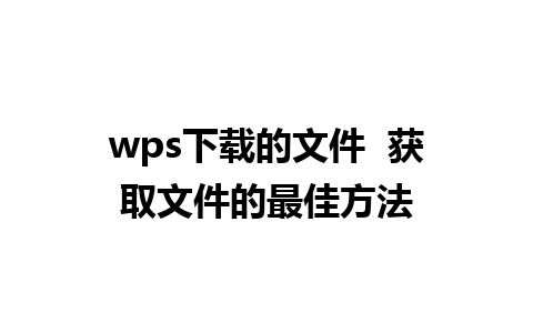 wps下载的文件  获取文件的最佳方法