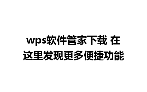 wps软件管家下载 在这里发现更多便捷功能