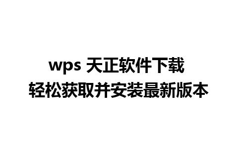 wps 天正软件下载 轻松获取并安装最新版本