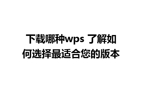 下载哪种wps 了解如何选择最适合您的版本