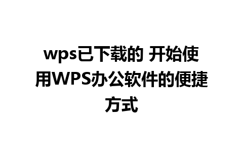 wps已下载的 开始使用WPS办公软件的便捷方式