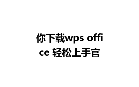 你下载wps office 轻松上手官