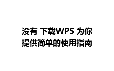 没有 下载WPS 为你提供简单的使用指南