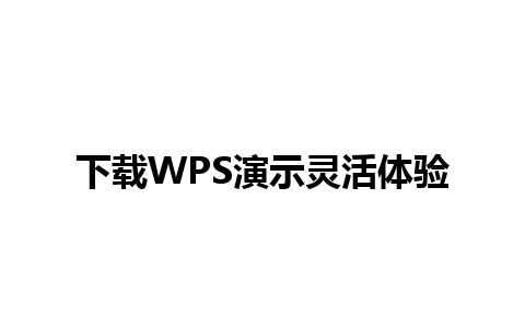 下载WPS演示灵活体验