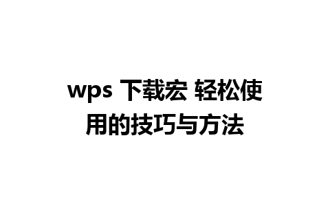 wps 下载宏 轻松使用的技巧与方法