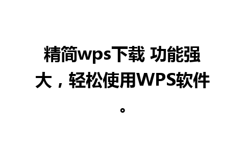 精简wps下载 功能强大，轻松使用WPS软件。