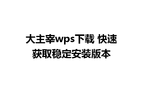 大主宰wps下载 快速获取稳定安装版本