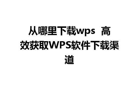 从哪里下载wps  高效获取WPS软件下载渠道