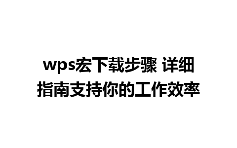 wps宏下载步骤 详细指南支持你的工作效率