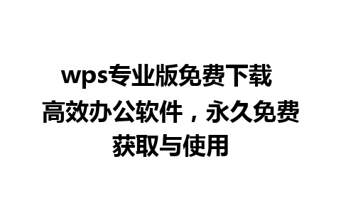 wps专业版免费下载 高效办公软件，永久免费获取与使用