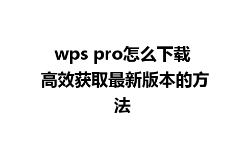 wps pro怎么下载 高效获取最新版本的方法