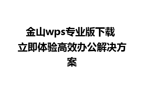 金山wps专业版下载 立即体验高效办公解决方案