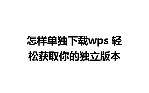 怎样单独下载wps 轻松获取你的独立版本