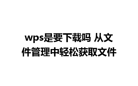 wps是要下载吗 从文件管理中轻松获取文件