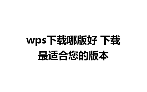 wps下载哪版好 下载最适合您的版本