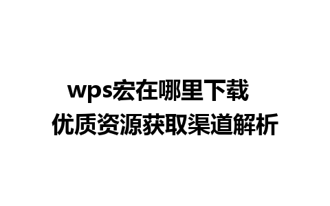 wps宏在哪里下载  优质资源获取渠道解析