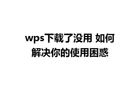 wps下载了没用 如何解决你的使用困惑