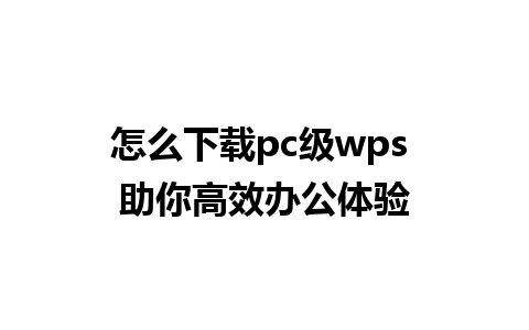 怎么下载pc级wps 助你高效办公体验