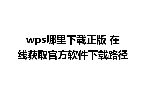 wps哪里下载正版 在线获取官方软件下载路径