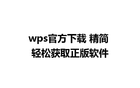 wps官方下载 精简 轻松获取正版软件