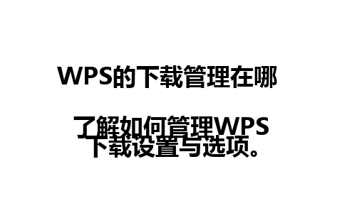 WPS的下载管理在哪  
了解如何管理WPS下载设置与选项。